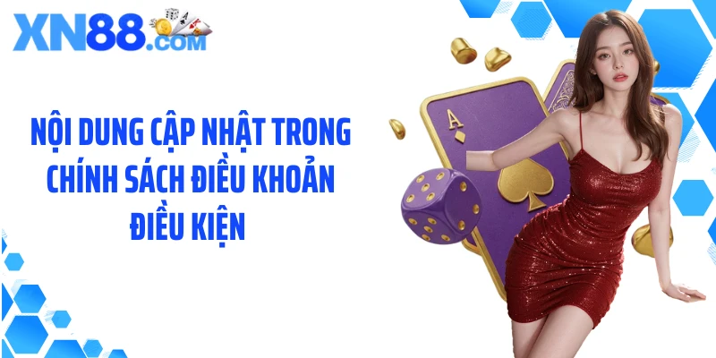 Nội dung cập nhật trong chính sách Điều khoản điều kiện